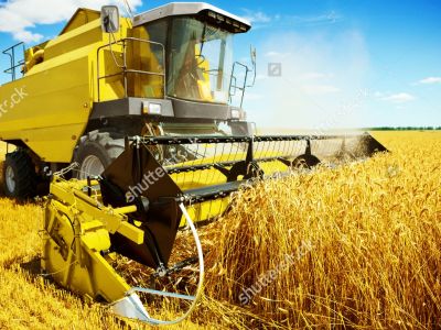 Stock Photo An Yellow Harvester In Work 140484307